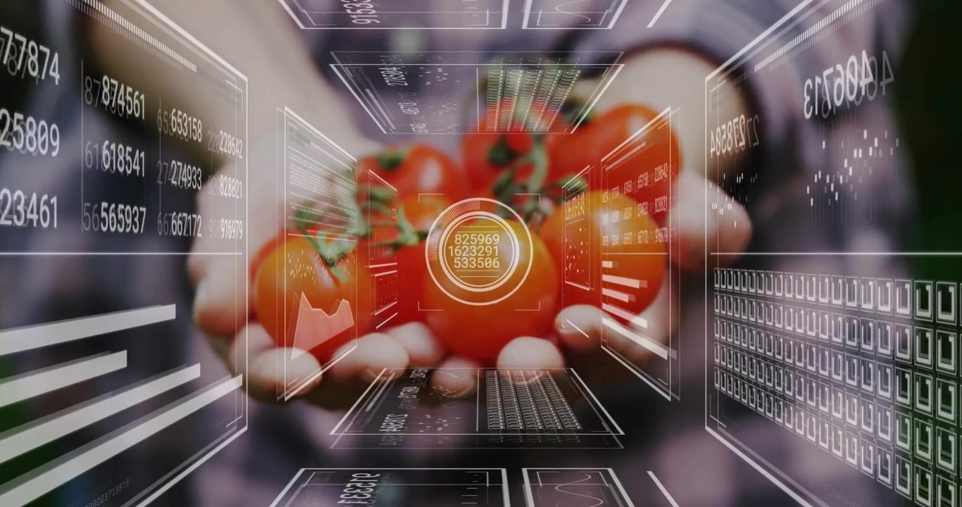 Donna che presenta pomodori maturi, con reticolo HUD che si forma e pannelli che scorrono, scansionando i prodotti per la foodtech.