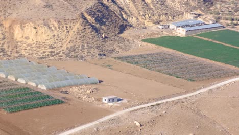 view of food production farms, fruit crops, surrounded by a vast, dry terrain in jordan, middle east, pan from right to left