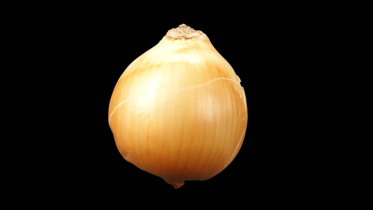 Realistic Onion Rotating With Alpha Channel, Video In 4K