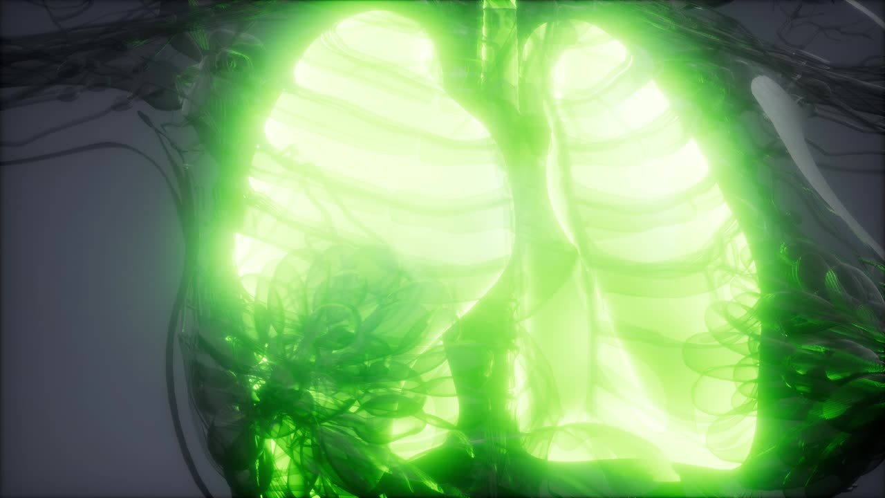 examen radiológico de los pulmones humanos