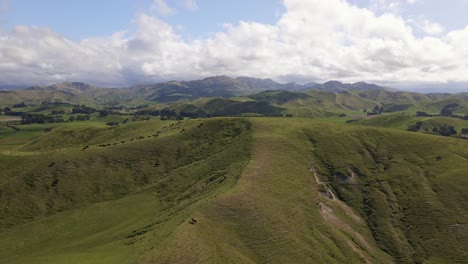 exuberantes colinas verdes bajo un cielo azul con nubes suaves en la zona rural de nueva zelanda