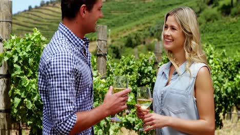 pareja feliz tomando vino en el viñedo