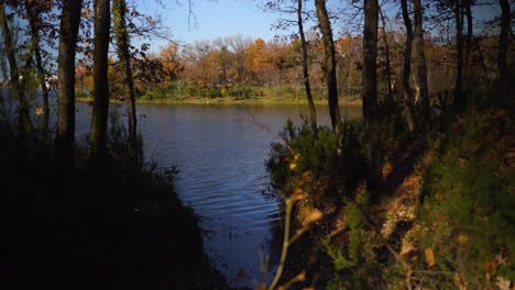 Paradise-landscape-of-quiet-lake-surrounded-by-dried-trees-on-a-sunny-day-in-winter-with-clear-blue-sky,-copy-space