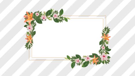 photo frame for copy space with decorative pink and orange flowers