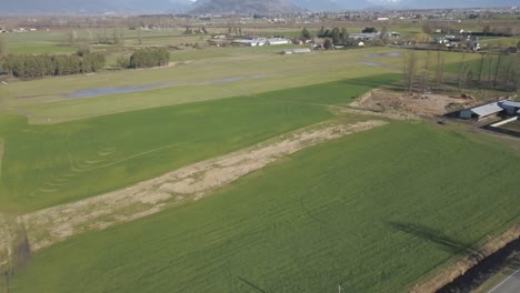 4K-Drone-Shot-of-Berry-farm