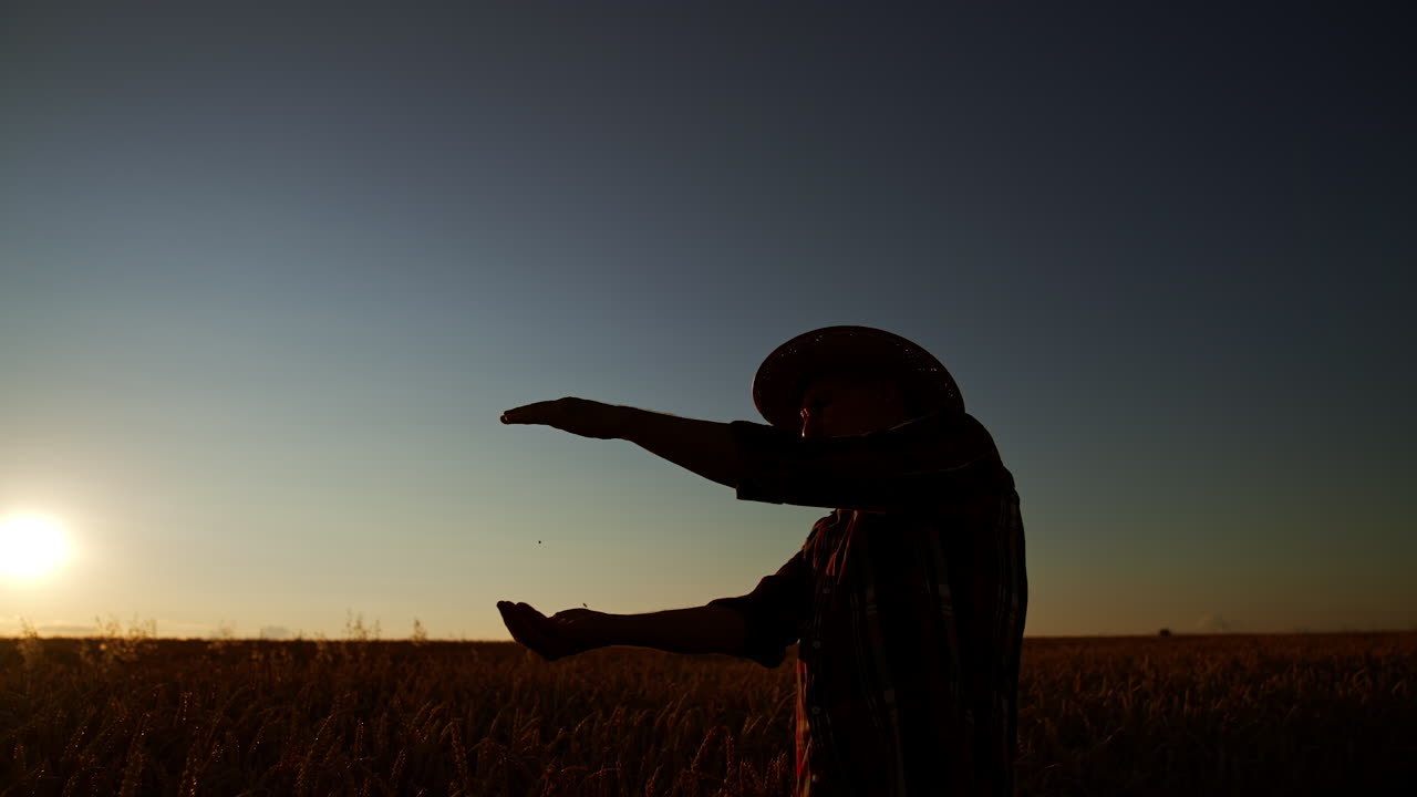Dark silhouette of a man in a hat lit with last rays of setting sun. Man pour the grains of wheat at the backdrop of blue sky.