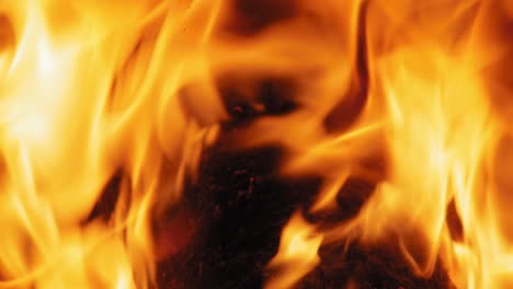 Close-up-shot-of-Burning-Flame-At-Fireplace-on-wooden-logs