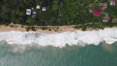 Aerial-birds-eye-view-of-playa-bluff-beach-with-golden-sand-and-turbulent-waves,-bordered-by-lush,-green-forest