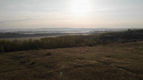 Ein-Reh,-Das-über-Eine-Unglaubliche-Waldlandschaft-Mit-Morgennebel-Läuft