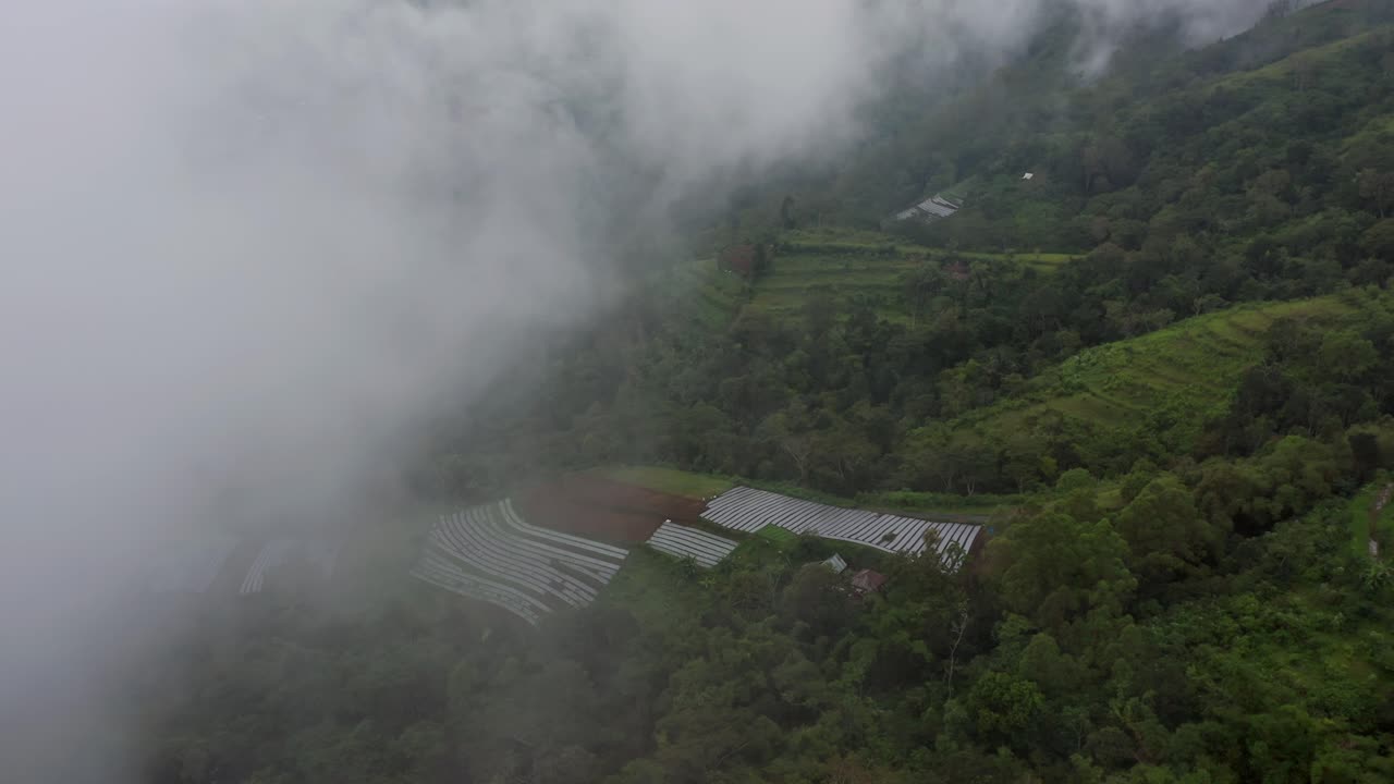misty gris colgando sobre una granja local aislada en la ladera de la montaña en un bosque verde tropical