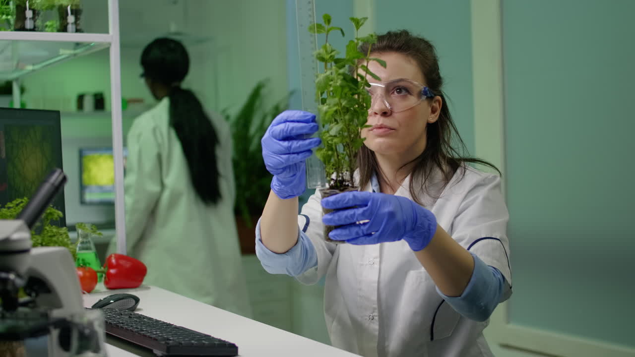 Botanist researcher measure sapling for botany experiment