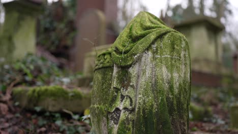 gravestones covered in moss in a forest graveyard on a cloudy day