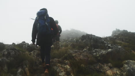 la naturaleza llamó, nosotros respondimos.