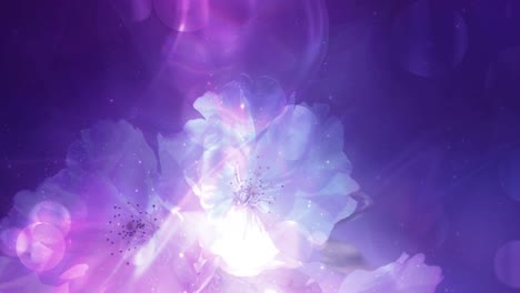 glowing and colorful floral design