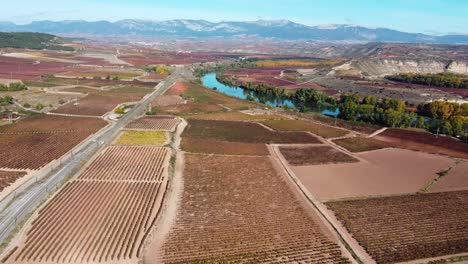 Viñedo-Con-Vides-Para-La-Producción-De-Vino-En-La-Rioja,-España-Entre-Un-Ferrocarril-Y-Un-Río-Y-Montañas-Al-Fondo