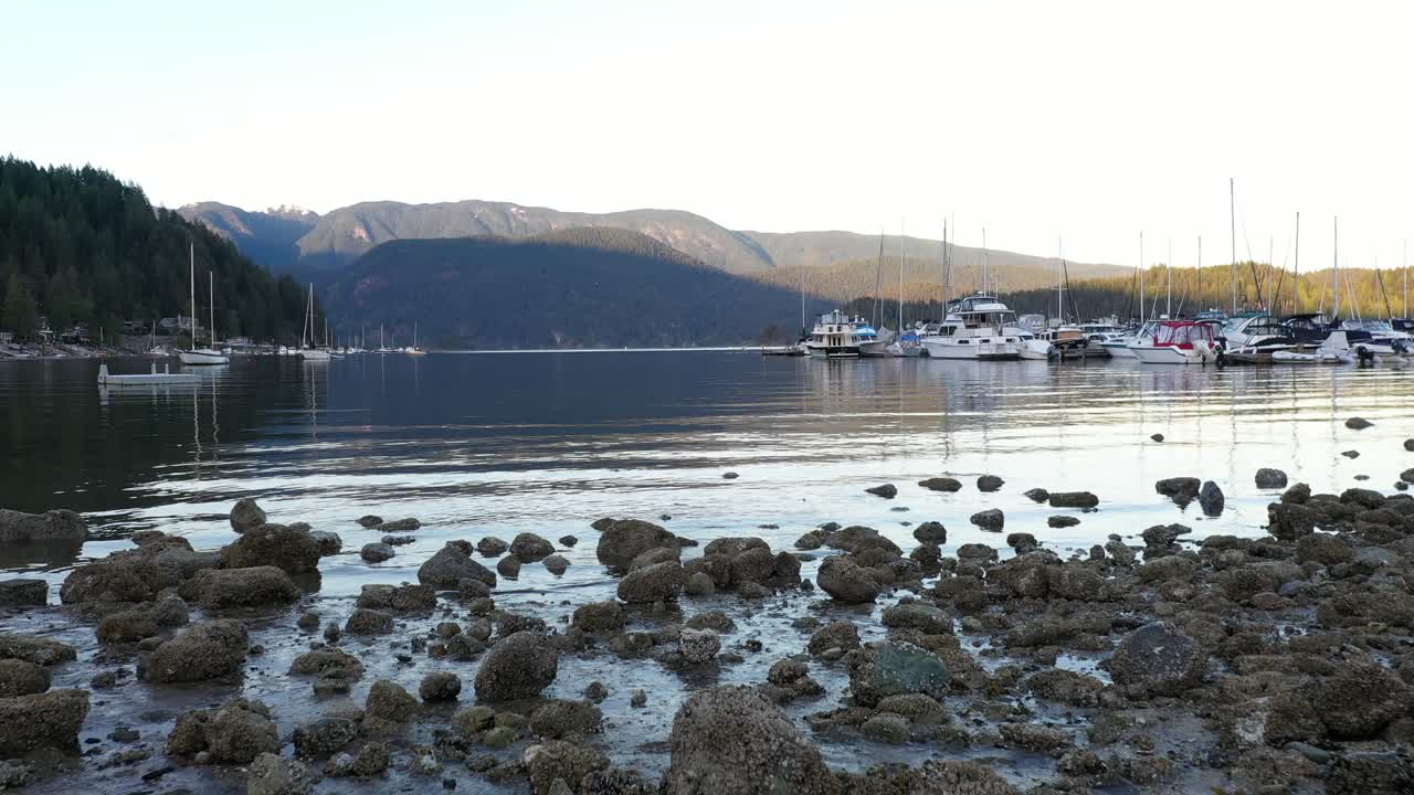 깊은 코브의 고요한 저녁