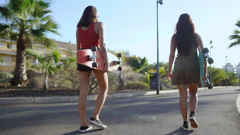 among palm trees, two friends stroll to the park, skateboards in hand, enjoying slow-motion conversation, laughter, and radiant smiles in the sunset's warm glow