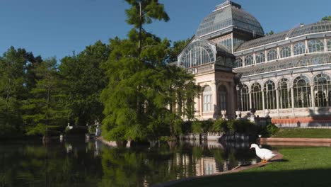 time-lapse en movimiento - mañana en el palacio de cristal