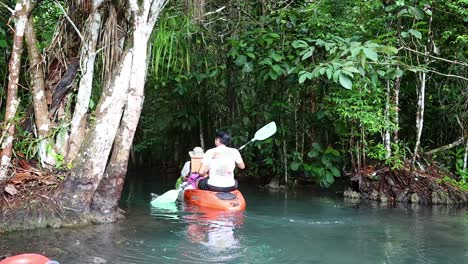 dos personas en kayak en un canal exuberante y tropical