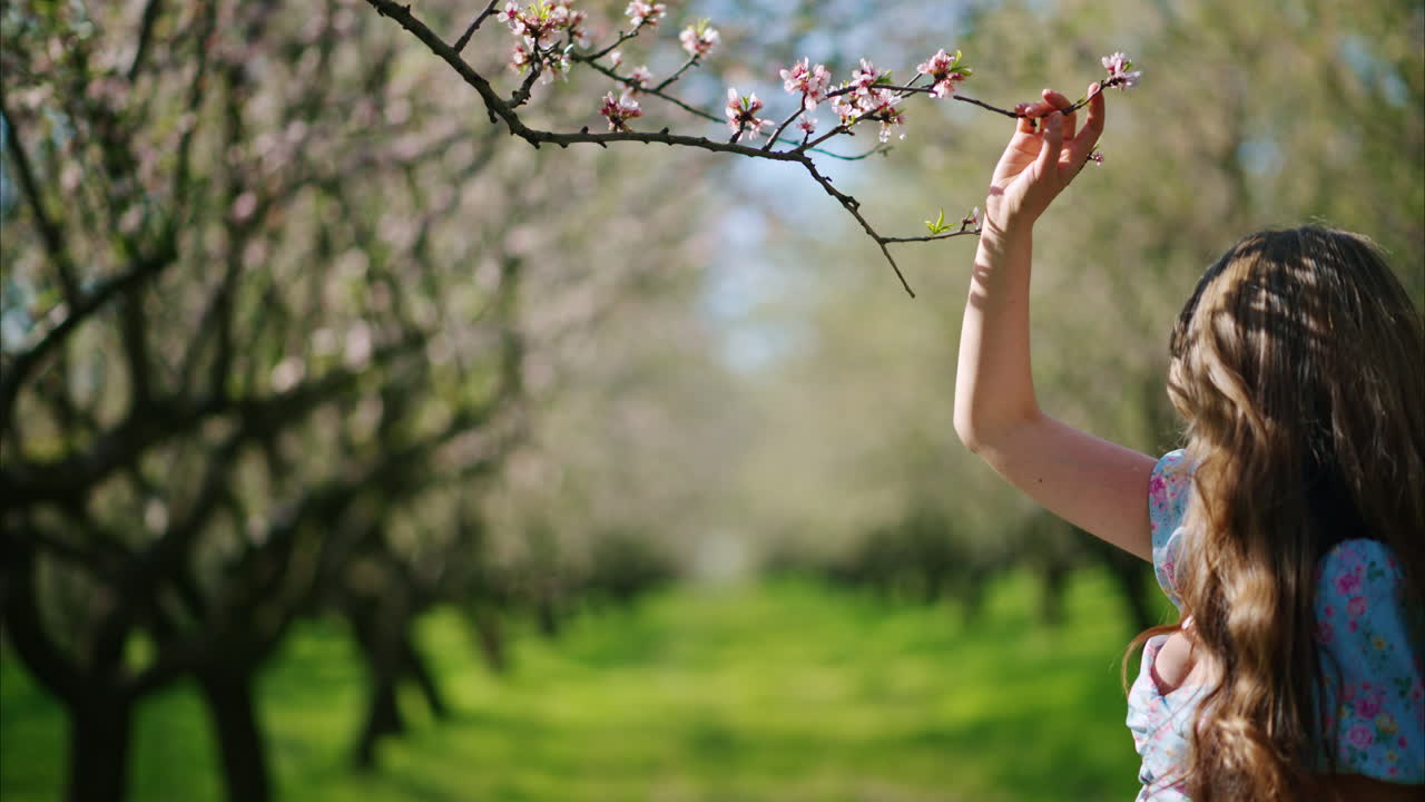Brunette woman in a blue dress smelling a flower in a field of blooming almond trees