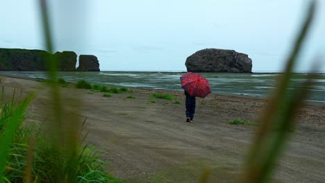 큰 바위 근처 의 은 해변 에 우산 을 들고 있는 사람