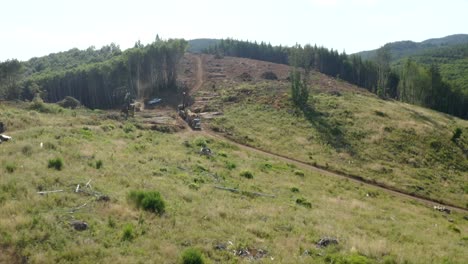 Drohne-Fliegt-Tief-über-Abholzungsbetrieb-Kahlschlagwald