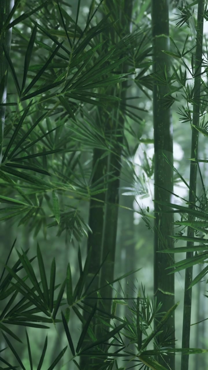 Foresta di bambù con fitta vegetazione e tronchi d'albero durante il giorno.