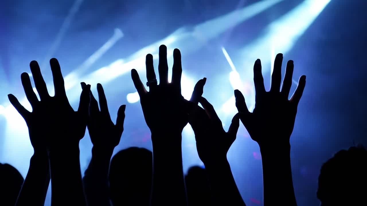 Crowd of people at a concert