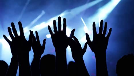 multitud de personas en un concierto