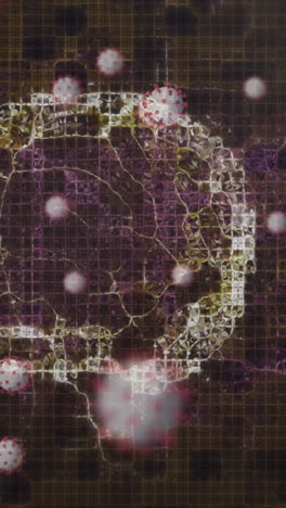 animación del cerebro humano y la cadena de adn girando y las células de covid-19 flotando sobre un fondo negro