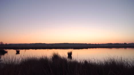 sunrise over a marsh lake