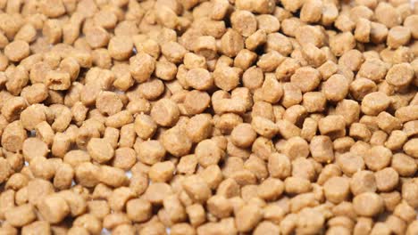 pile of dry dog food