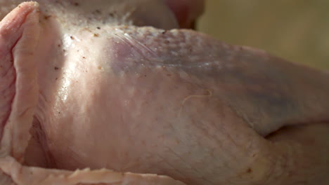 closeup across a seasoned, raw turkey ready for the oven