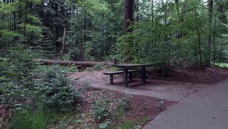 picnic table in a peaceful forest