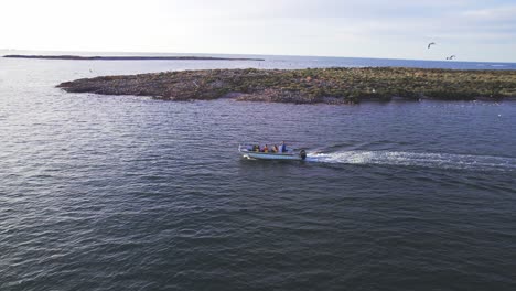 Barco-A-Motor-Que-Transporta-Turistas-Pasa-Por-Una-Gran-Isla-Llena-De-Colonias-De-Gaviotas-Y-Otras-Aves-Marinas-En-Bahía-Bustamante.