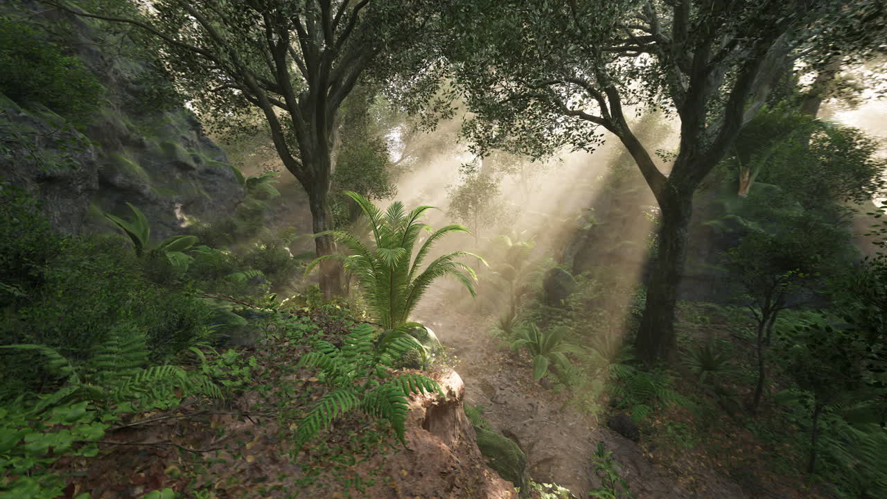 울창한 숲 속 의 빛