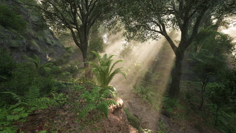 sunbeams in a lush forest