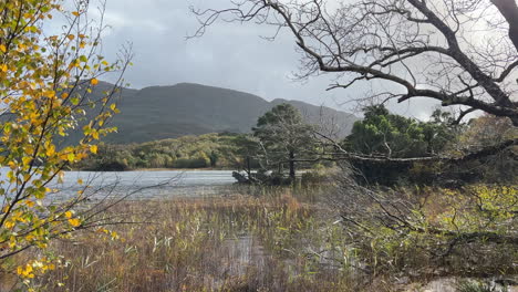 Calm-Muckross-Lake-with-overcast-sky-in-Killarney,-Kerry,-Ireland