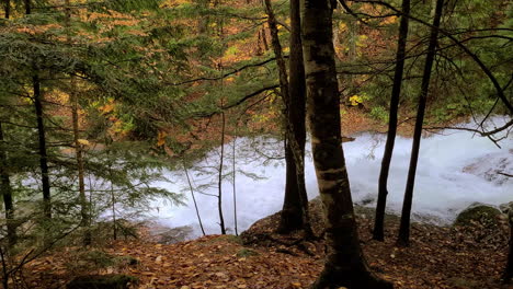 Riffle-waterflow-and-bubbling-autumn-underwood-top-aerial