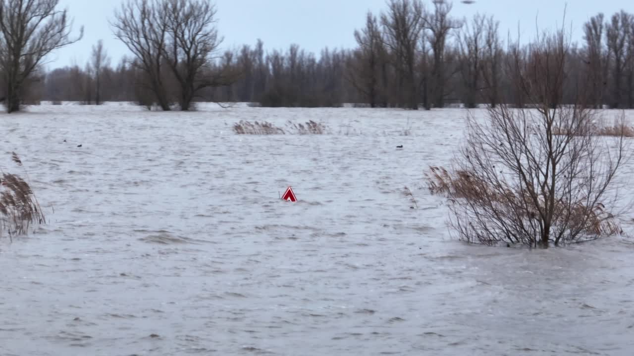 Inondazione nei Paesi Bassi lungo il fiume Waal a Varik, Gelderland, strada e campo sott'acqua.
