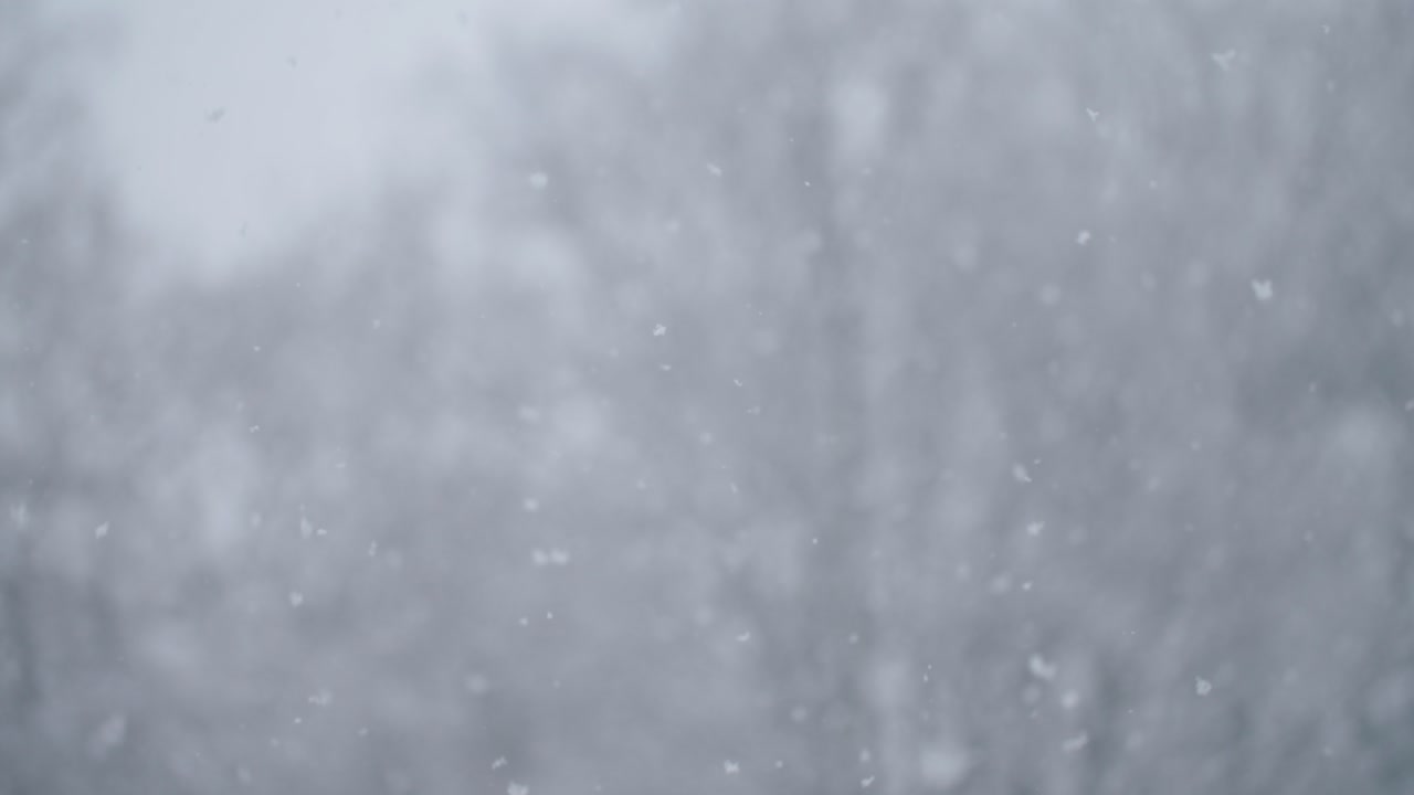 Abstract shallow depth of field shot showing falling snowflakes with blurred winter trees in the background