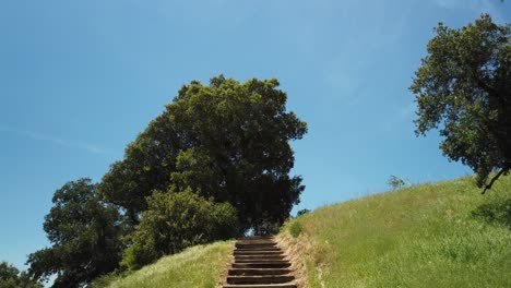 Walking-up-these-steps-all-the-way-to-infinity,-to-the-sky