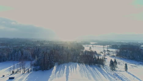 Aerial-drone-view-of-snowy-landscape-and-coniferous-forest-with-sunlight-and-hut