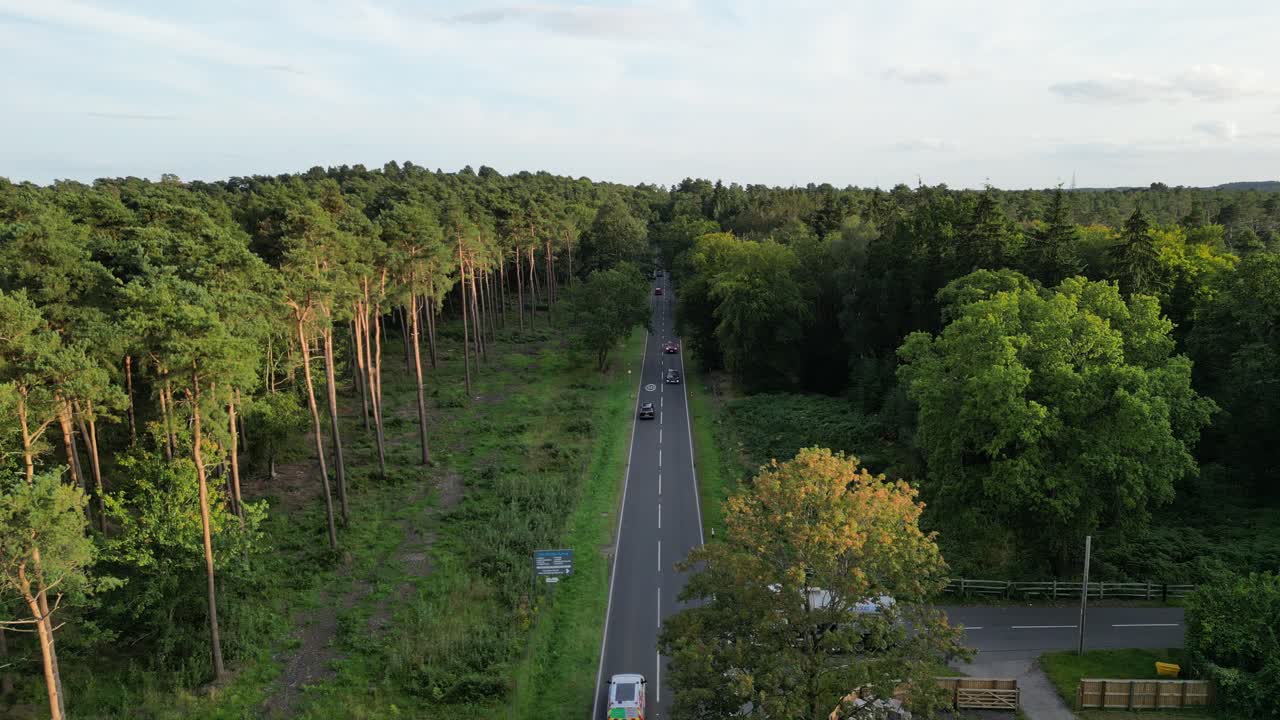 A static aerial shot capturing Swinley Road A332 in Ascot, surrounded by lush green trees and a serene forest landscape under a clear sky.