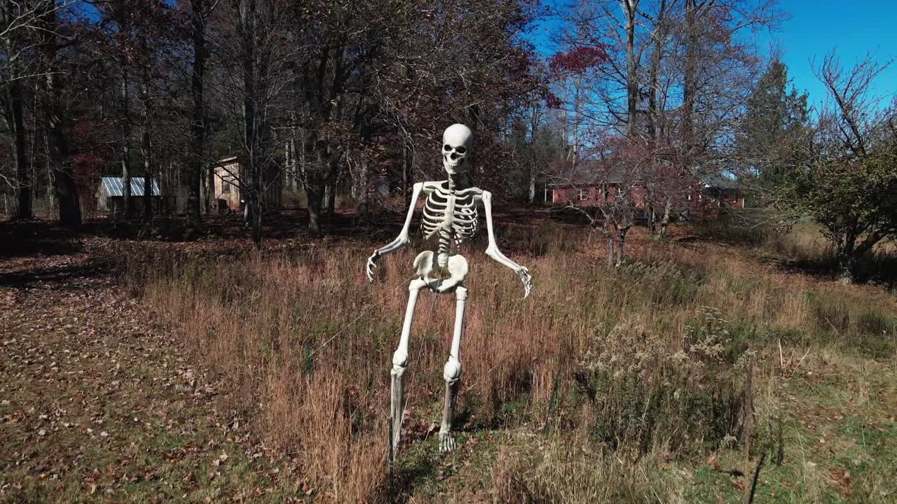 4K drone flying back away from 12ft skeleton in field