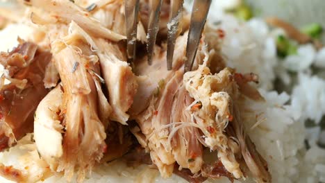 cerca de pollo y arroz en un plato