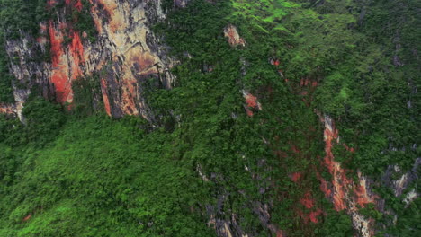 Descubre-Una-Tierra-Llena-De-Belleza-Verde