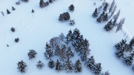 Vista-Aérea-De-Un-Espacio-Forestal-Abierto-En-La-Isla-Whidbey-Cubierto-De-Nieve