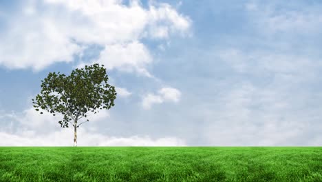 animation of tree over sky with clouds