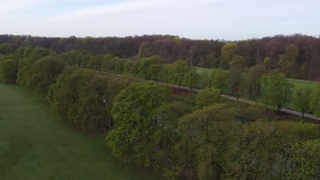 Drohnenflug-In-Einer-Baumallee-In-Einem-Park-Mit-Großen-Grünflächen-Und-Einem-Fluss,-Grüngürtel,-Köln,-Deutschland